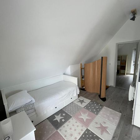 Modern House Close To Basel, Freiburg, Mulhouse, Europa-Park Villa Chalampe Luaran gambar